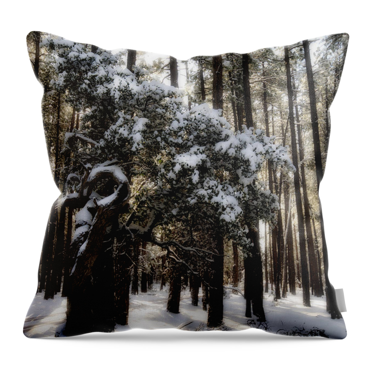 Snow Throw Pillow featuring the photograph Snow Day by Saija Lehtonen
