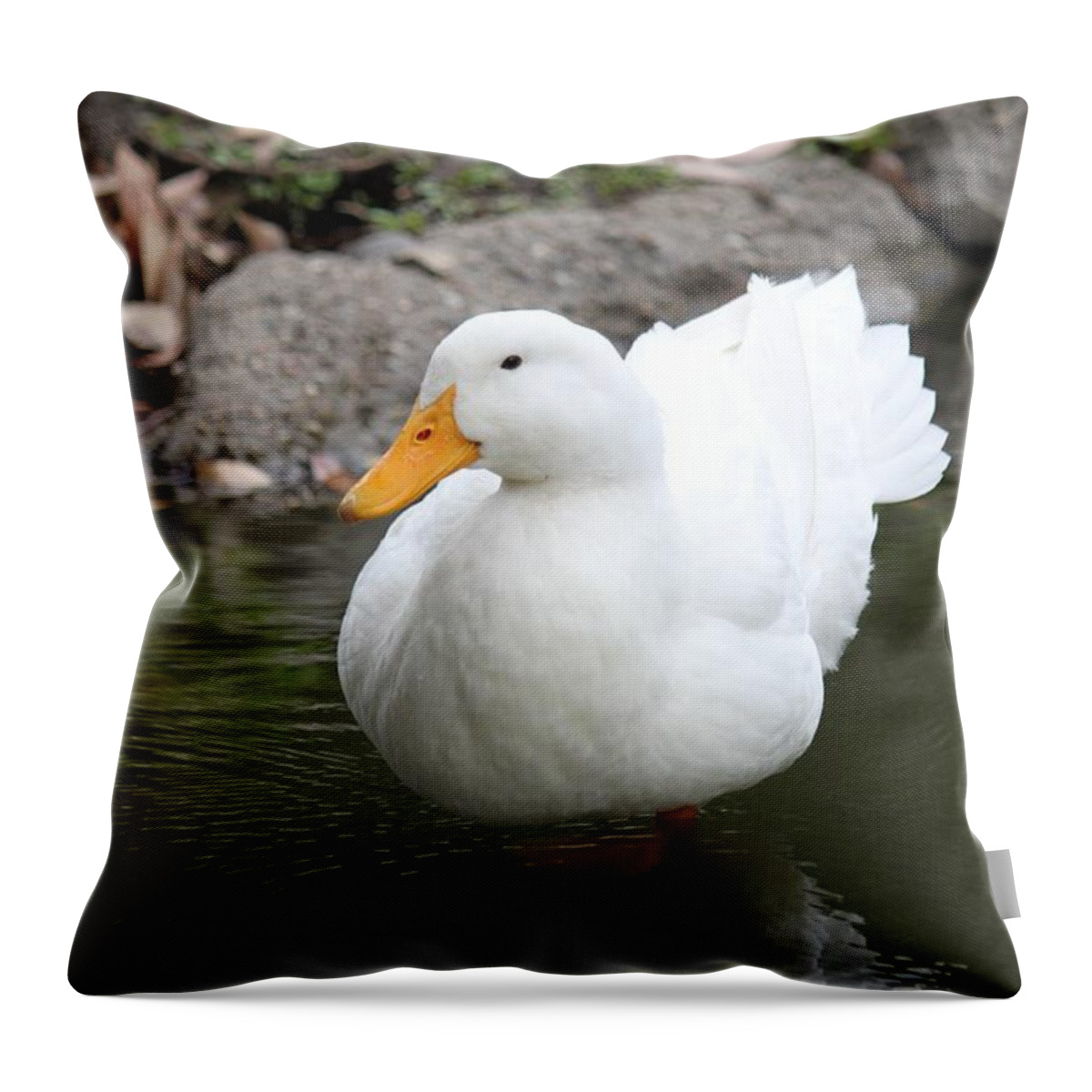 Duck Throw Pillow featuring the photograph Snow White by Amy Gallagher