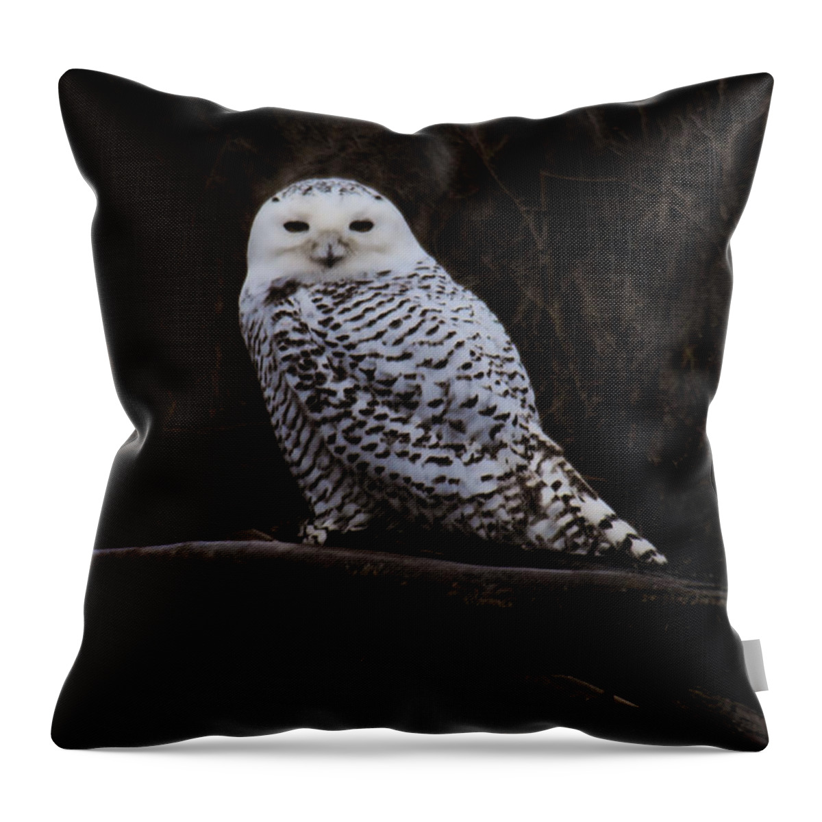 Bird Throw Pillow featuring the photograph Snowy Owl Two by Lawrence Christopher