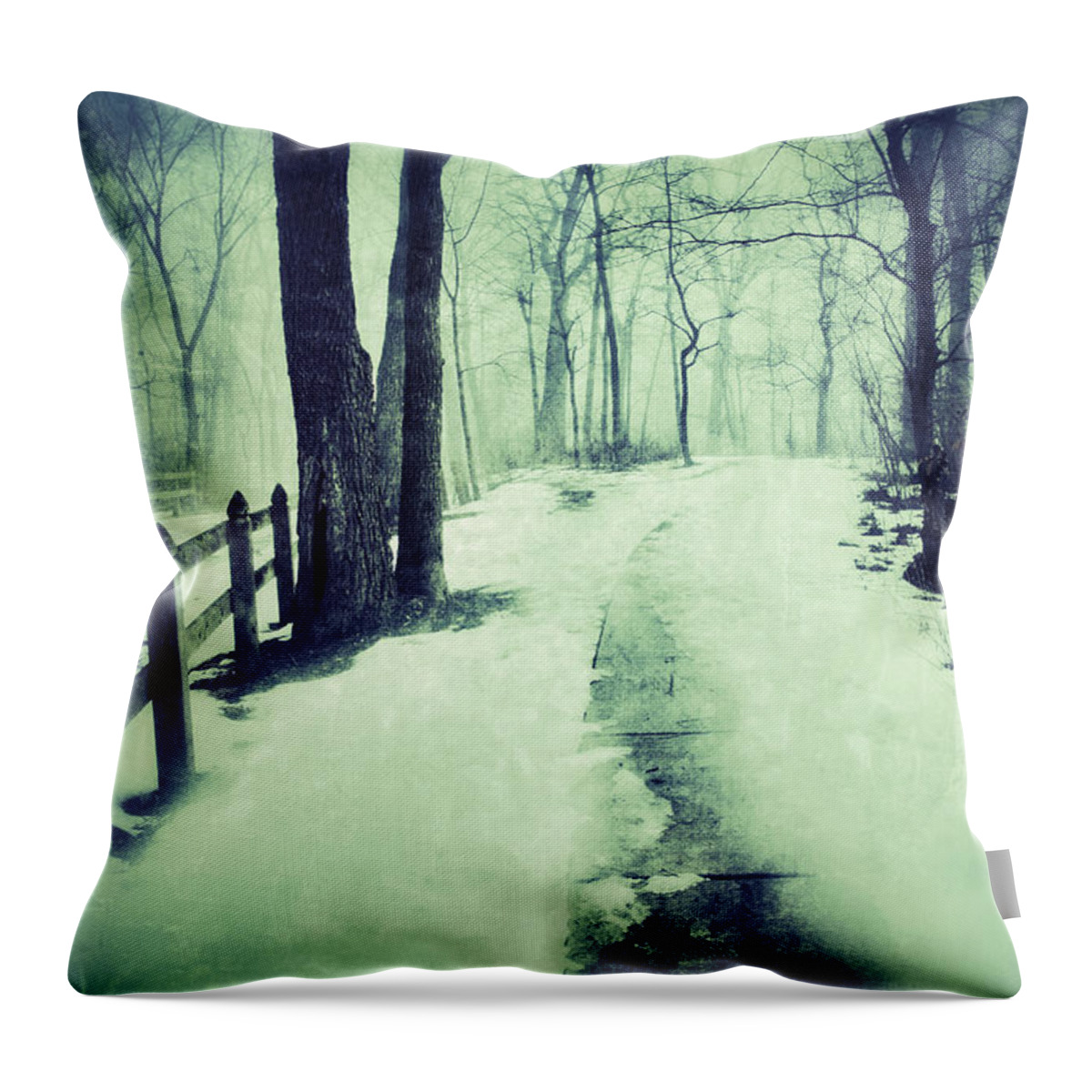 Rural Throw Pillow featuring the photograph Snowy Wooded Path by Jill Battaglia