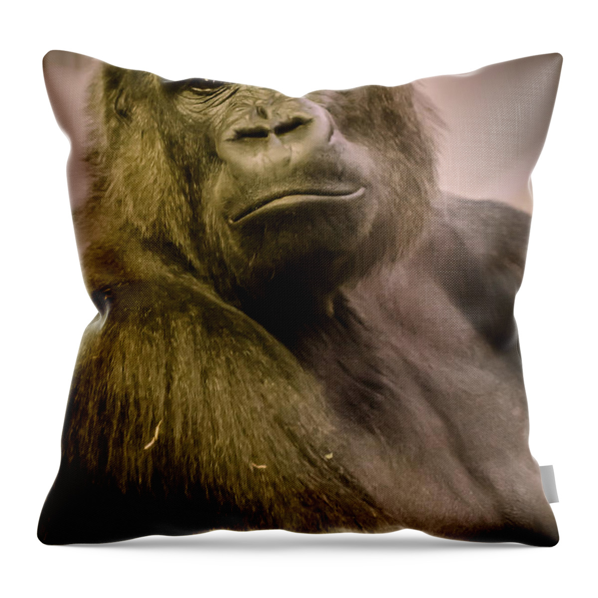 Gorilla Throw Pillow featuring the photograph So Like Us by Heather Applegate