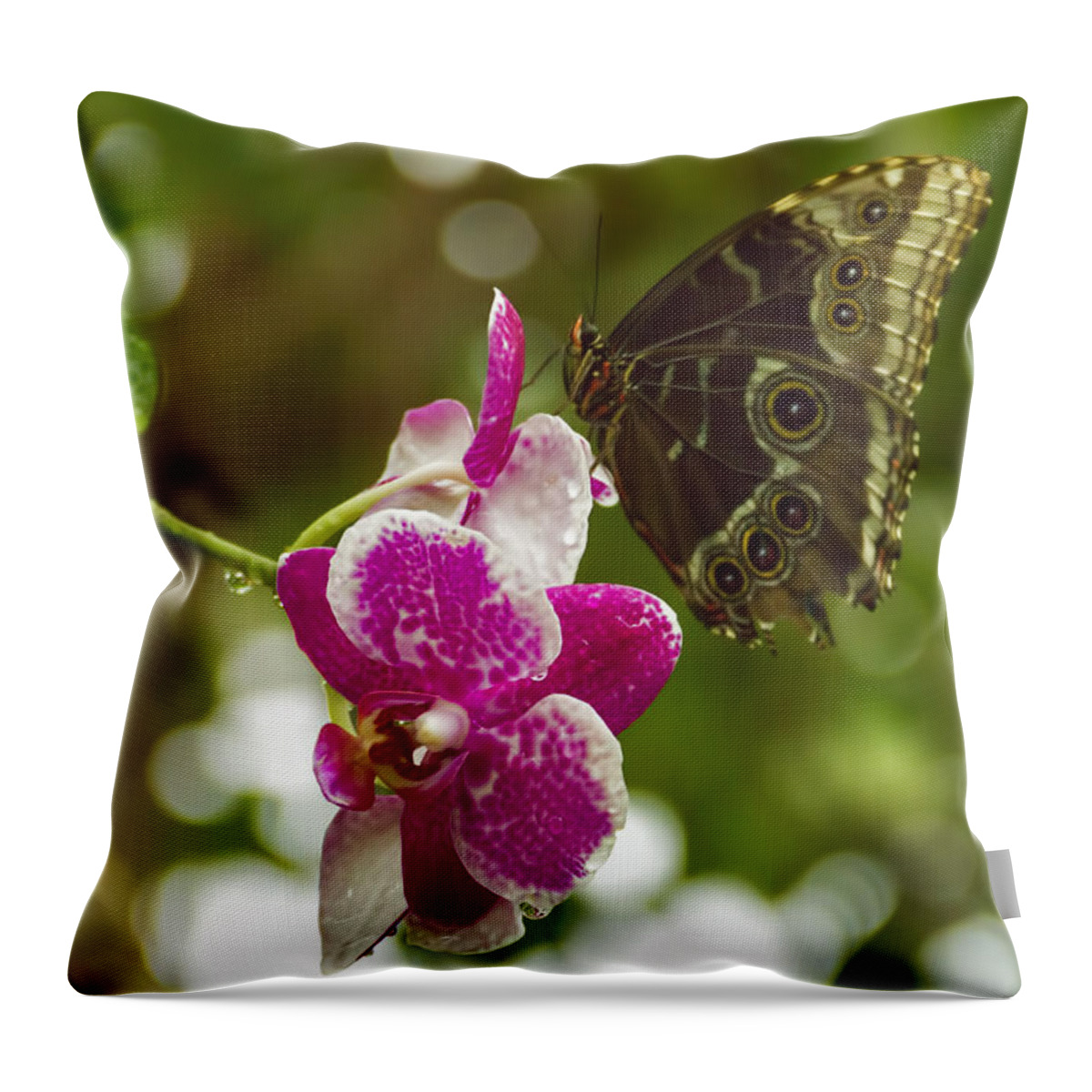 Nature Throw Pillow featuring the photograph Soaring Orchid by Linda Tiepelman