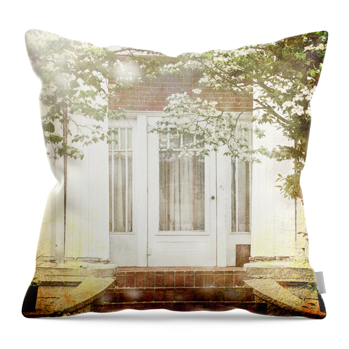 Beautiful Throw Pillow featuring the photograph Southern Spring by Stephanie Frey
