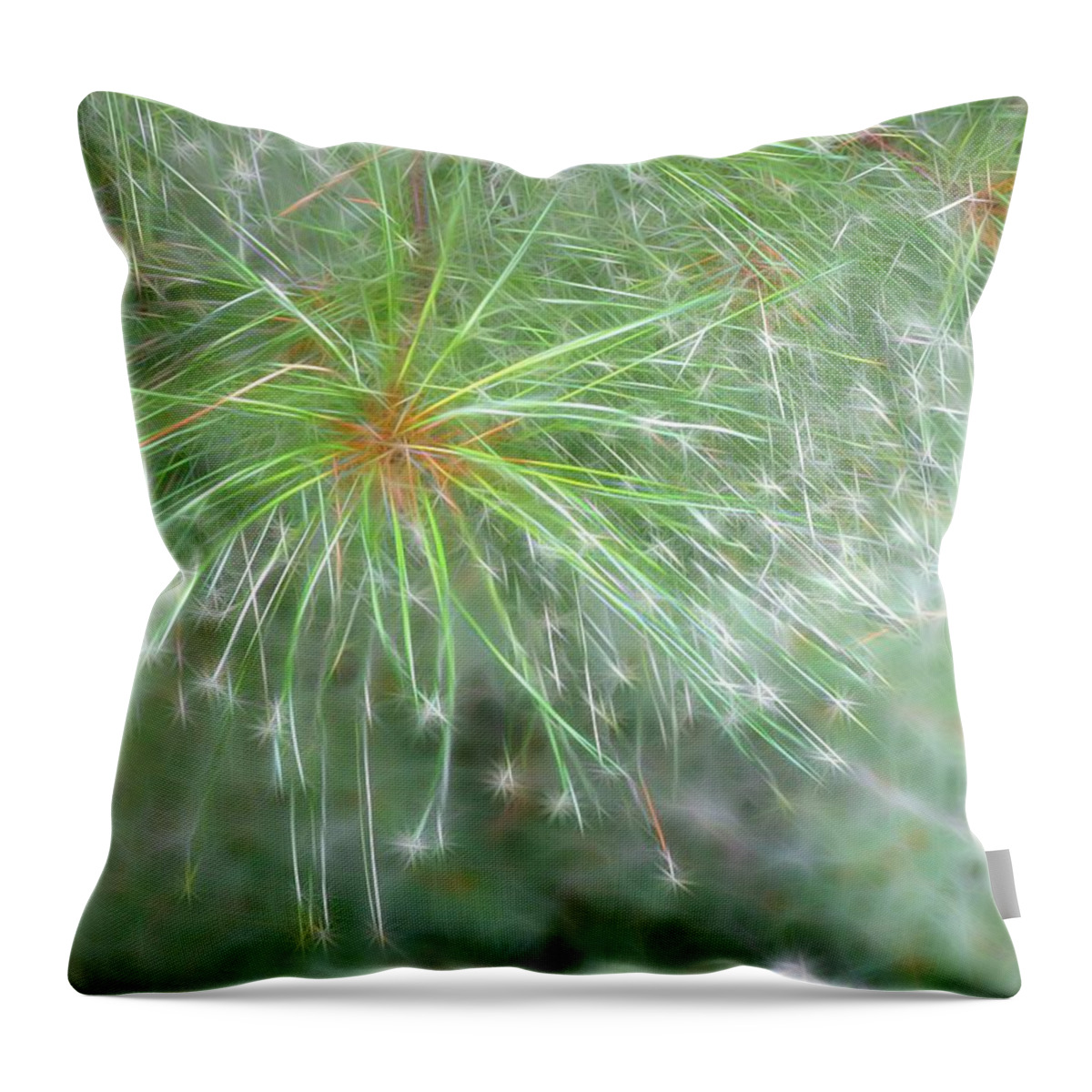 Pine Throw Pillow featuring the photograph Sparkly Pine by Rhonda Barrett