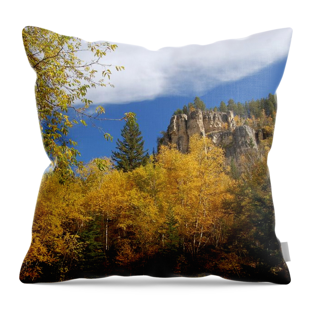 Spearfish Throw Pillow featuring the photograph Spearfish Canyon Fortress in Rock by Greni Graph