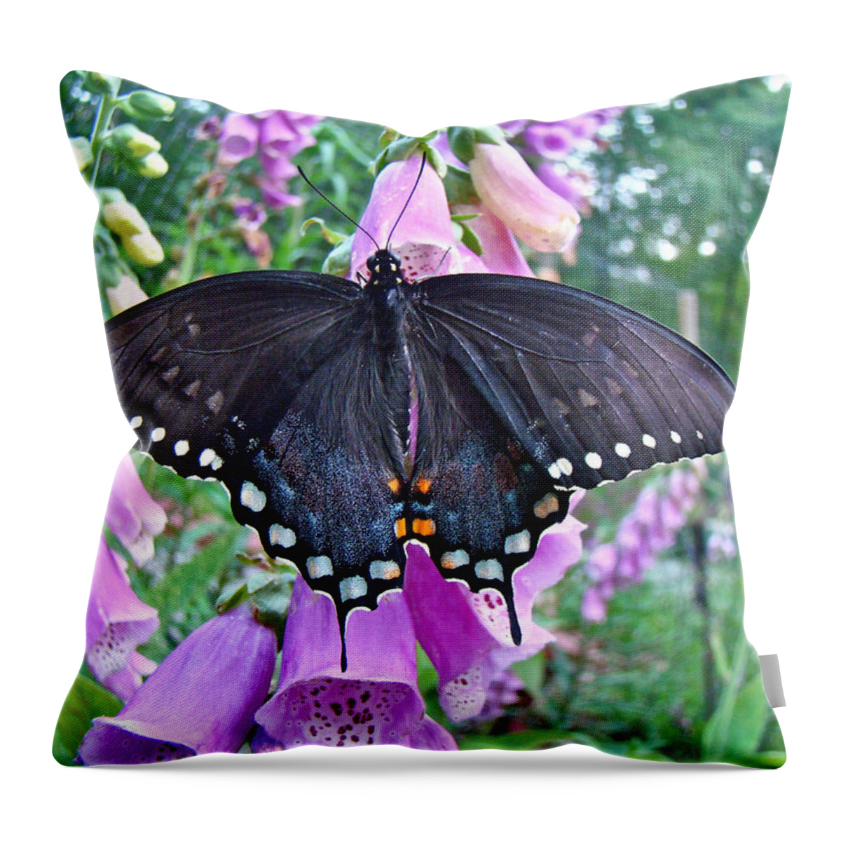 Butterfly Throw Pillow featuring the photograph Spicebush Swallowtail Butterfly on Foxgloves - Papilio troilus by Carol Senske