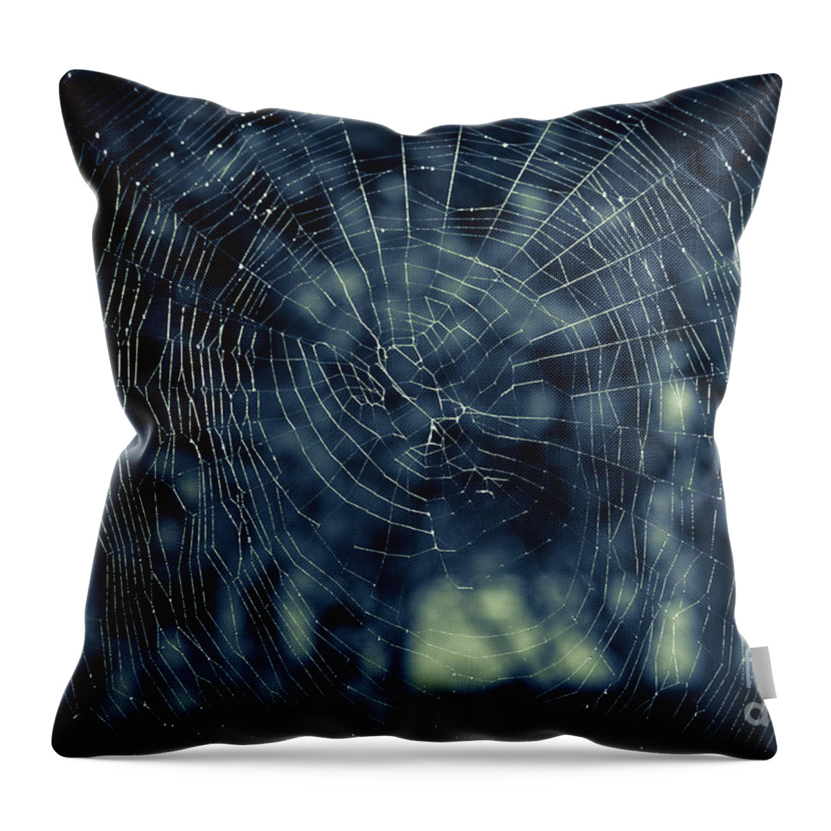 Spider Throw Pillow featuring the photograph Spider Web by Matt Malloy