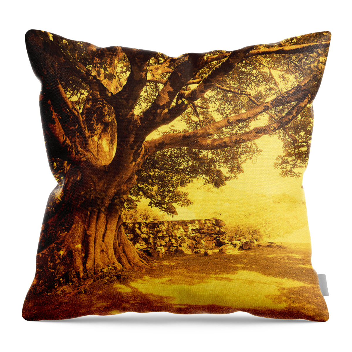 Ireland Throw Pillow featuring the photograph Spiritual Place. Wicklow Mountains. Ireland by Jenny Rainbow