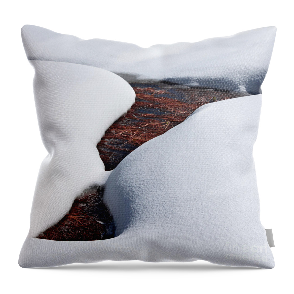 Snow Throw Pillow featuring the photograph Spooner Meadow Melt by L J Oakes