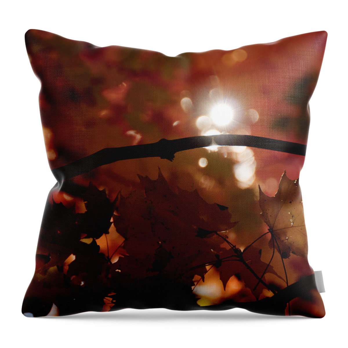Landscape Throw Pillow featuring the photograph Spotlight on Fall by Cheryl Baxter