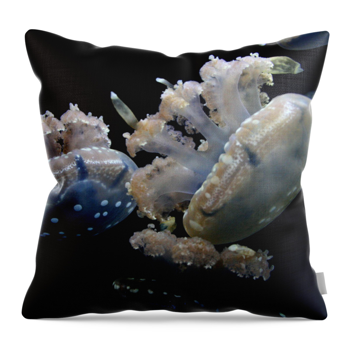 Waikiki Aquarium Throw Pillow featuring the photograph Spotted Jelly Fluther by Jennifer Bright Burr