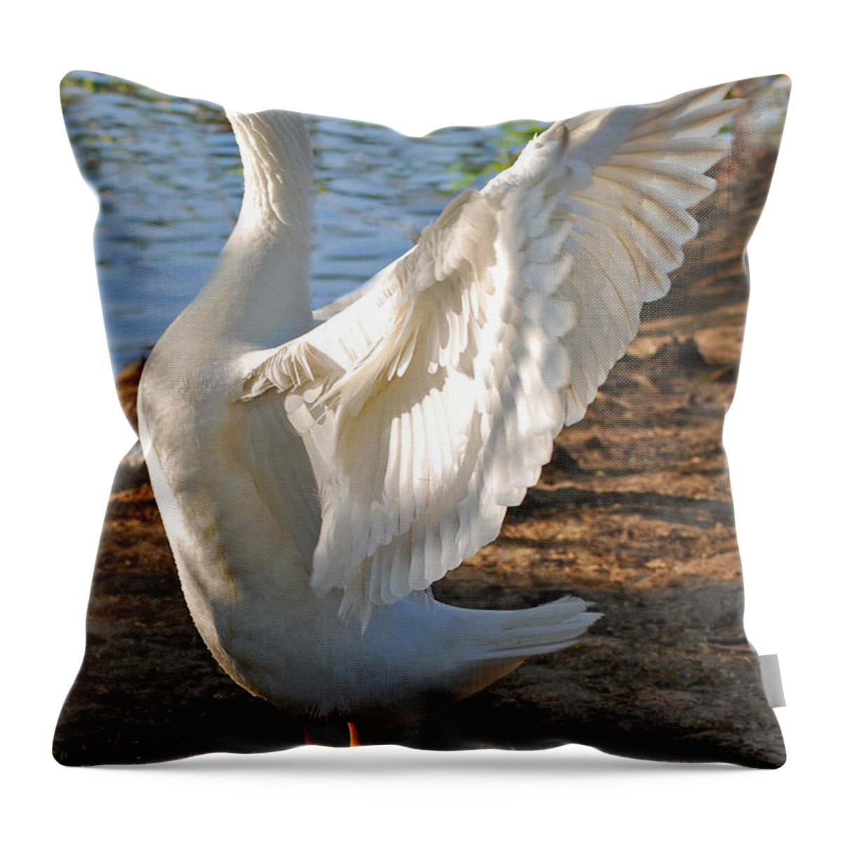 Landscape Throw Pillow featuring the photograph Spread Your Wings by Lisa Phillips