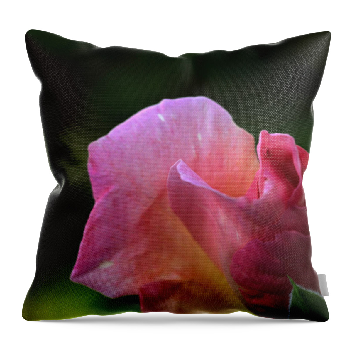Rose Throw Pillow featuring the photograph Spreading Petals by Wanda Brandon