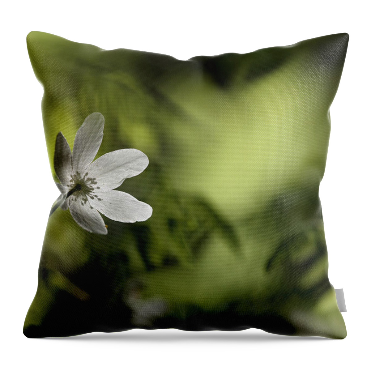 Nature Throw Pillow featuring the photograph Spring anemone by Ulrich Kunst And Bettina Scheidulin