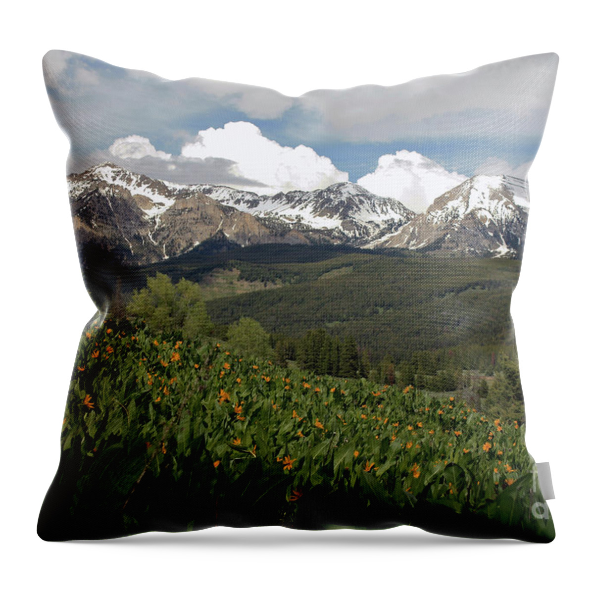 Flowers Throw Pillow featuring the photograph Spring Bloom by Edward R Wisell