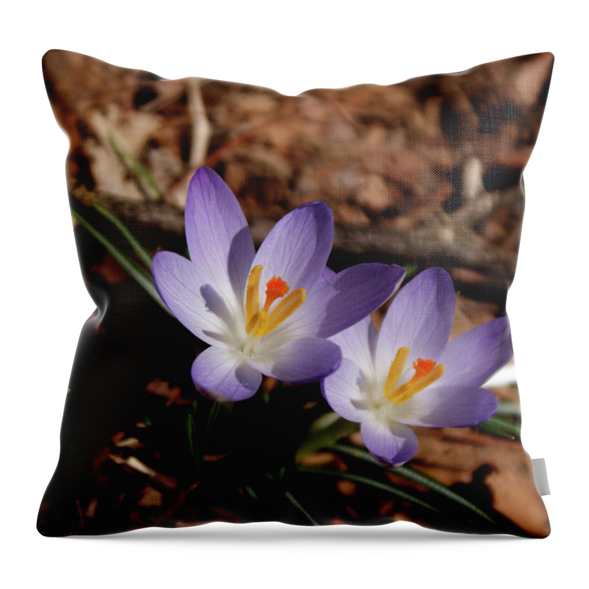 Wildflowers Throw Pillow featuring the photograph Spring Crocus by Paul Mashburn