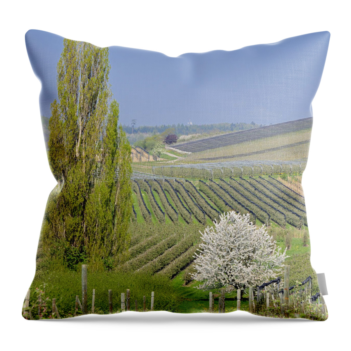 Landscape Throw Pillow featuring the photograph Spring landscape by Matthias Hauser