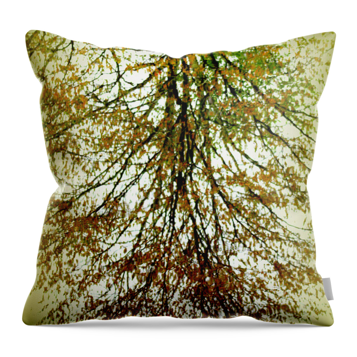 Tree Reflection Throw Pillow featuring the photograph Spring Reflections by Kim Galluzzo