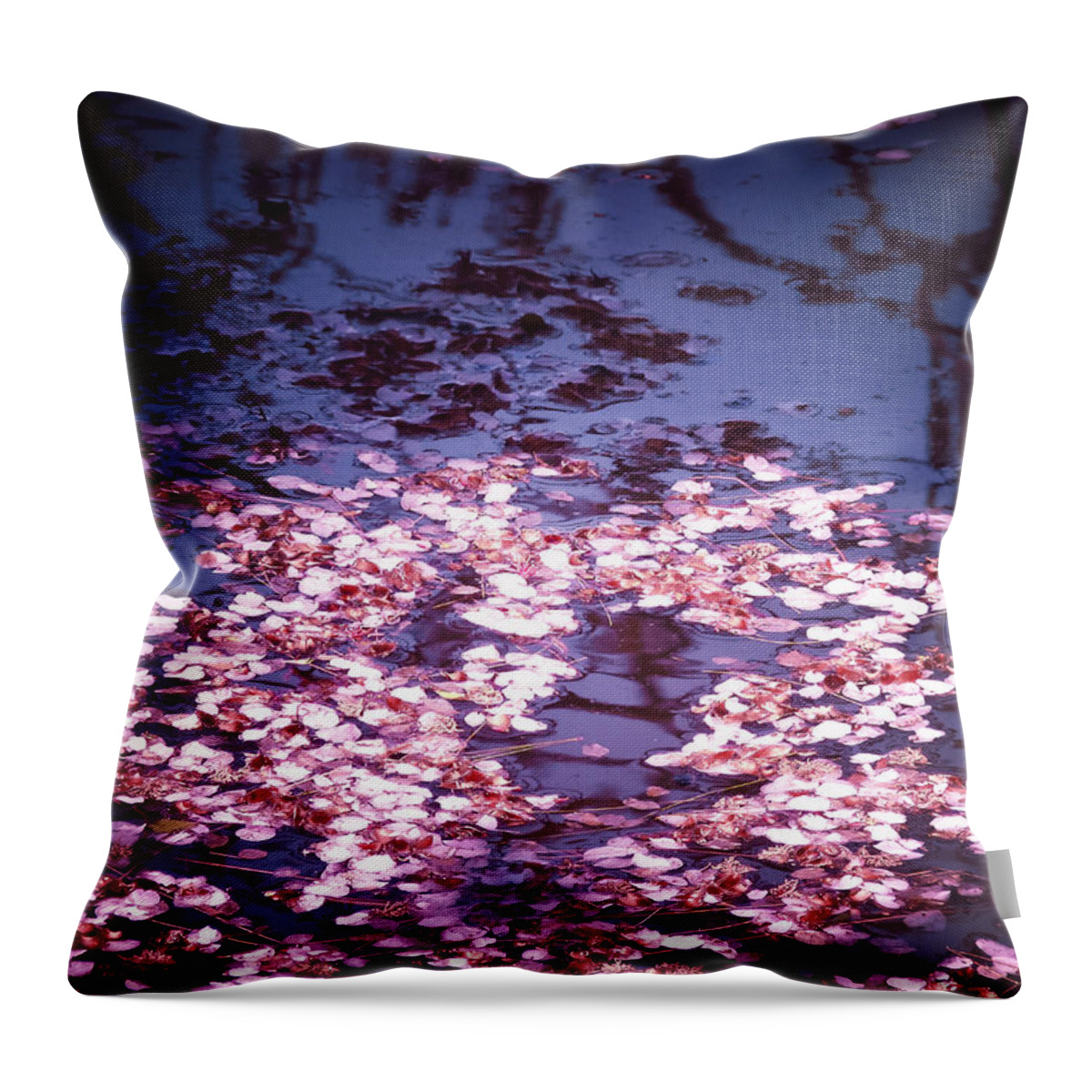 Cherry Blossom Throw Pillow featuring the photograph Spring's Embers - Cherry Blossom Petals on the Surface of a Pond by Vivienne Gucwa