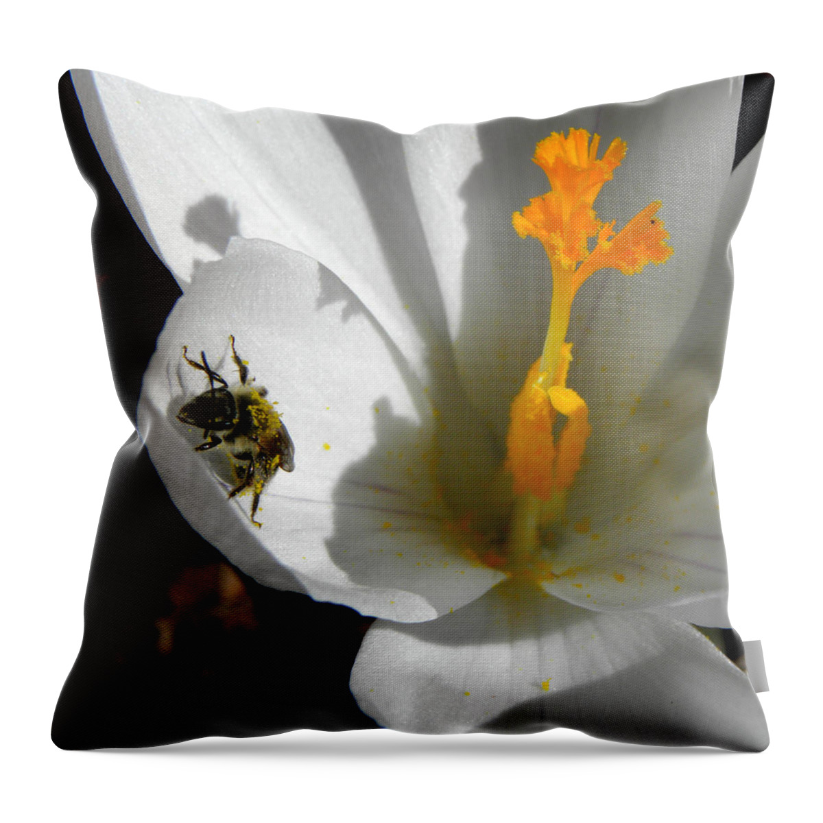 Bee Throw Pillow featuring the photograph Springs First Pollination by Kim Galluzzo