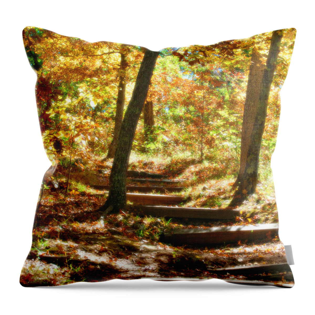 Landscape Nature Photo Trails Photos Throw Pillow featuring the photograph Stairway to Heaven by Peggy Franz