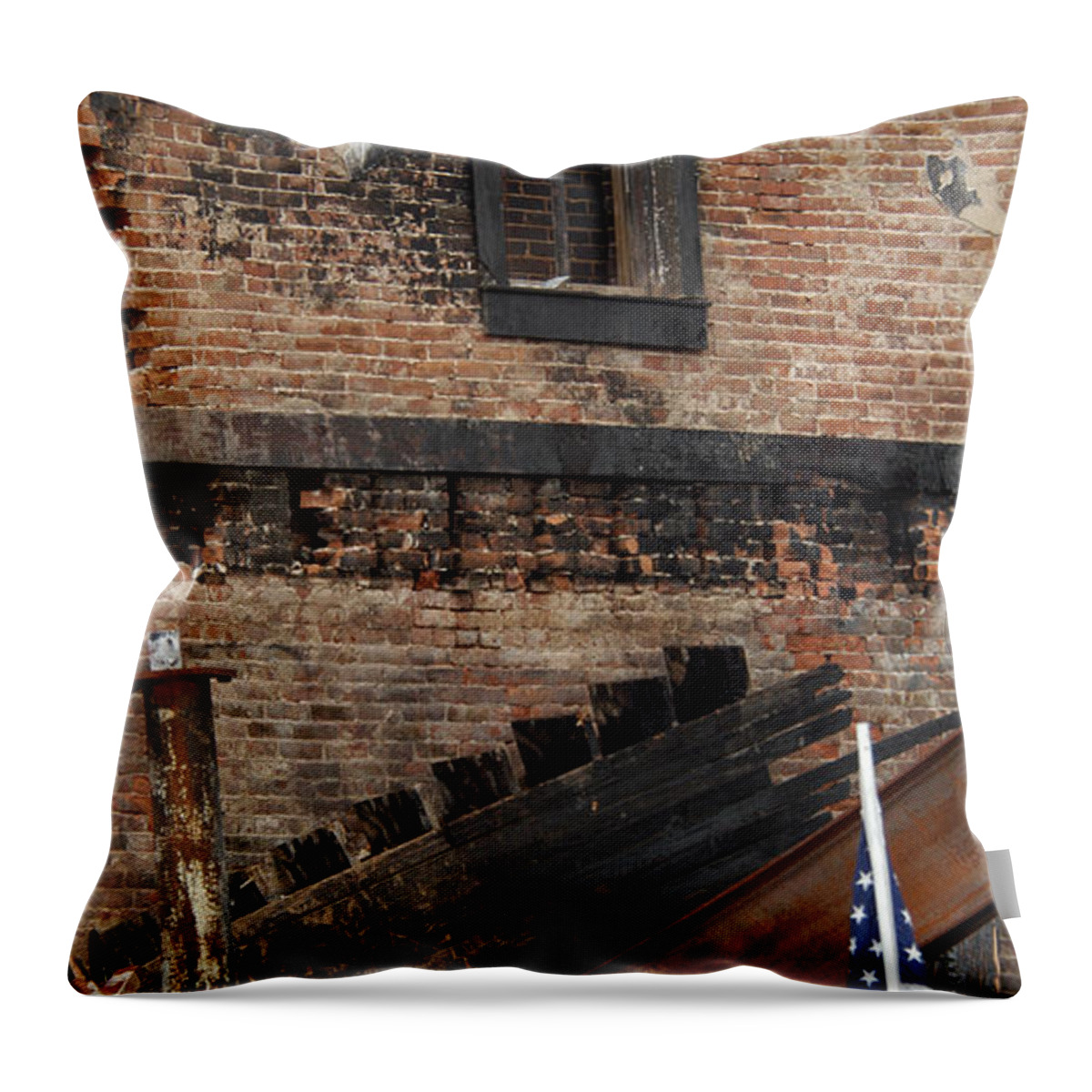 Stand By Me Throw Pillow featuring the photograph Stand By Me by Wanda Brandon