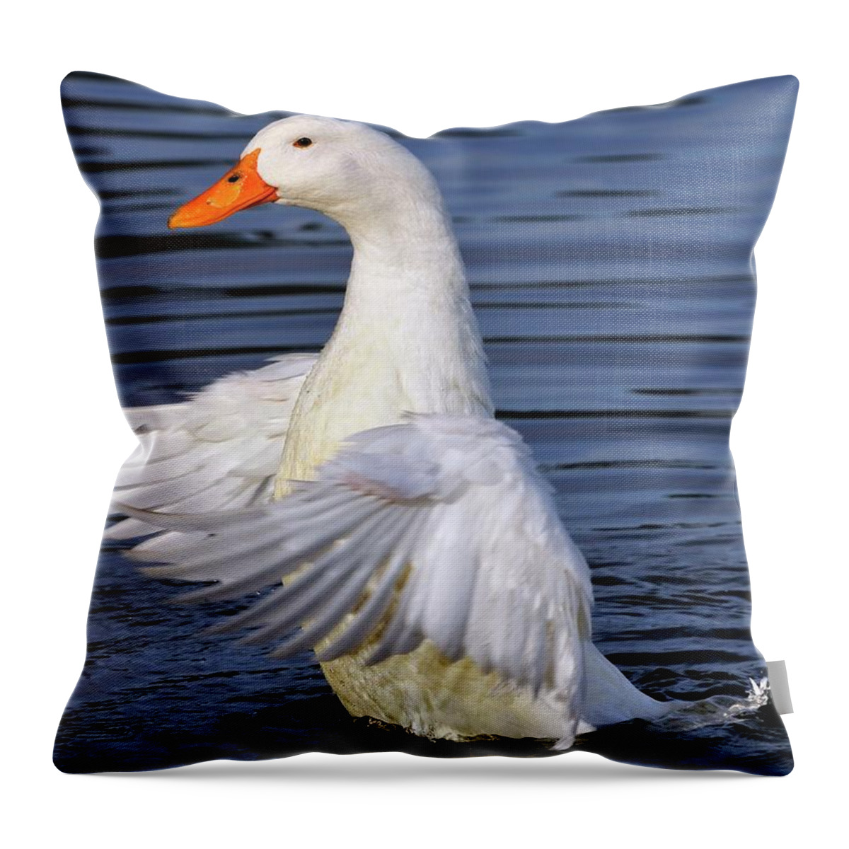 White Throw Pillow featuring the photograph Stand up and Shout by Bill Dodsworth