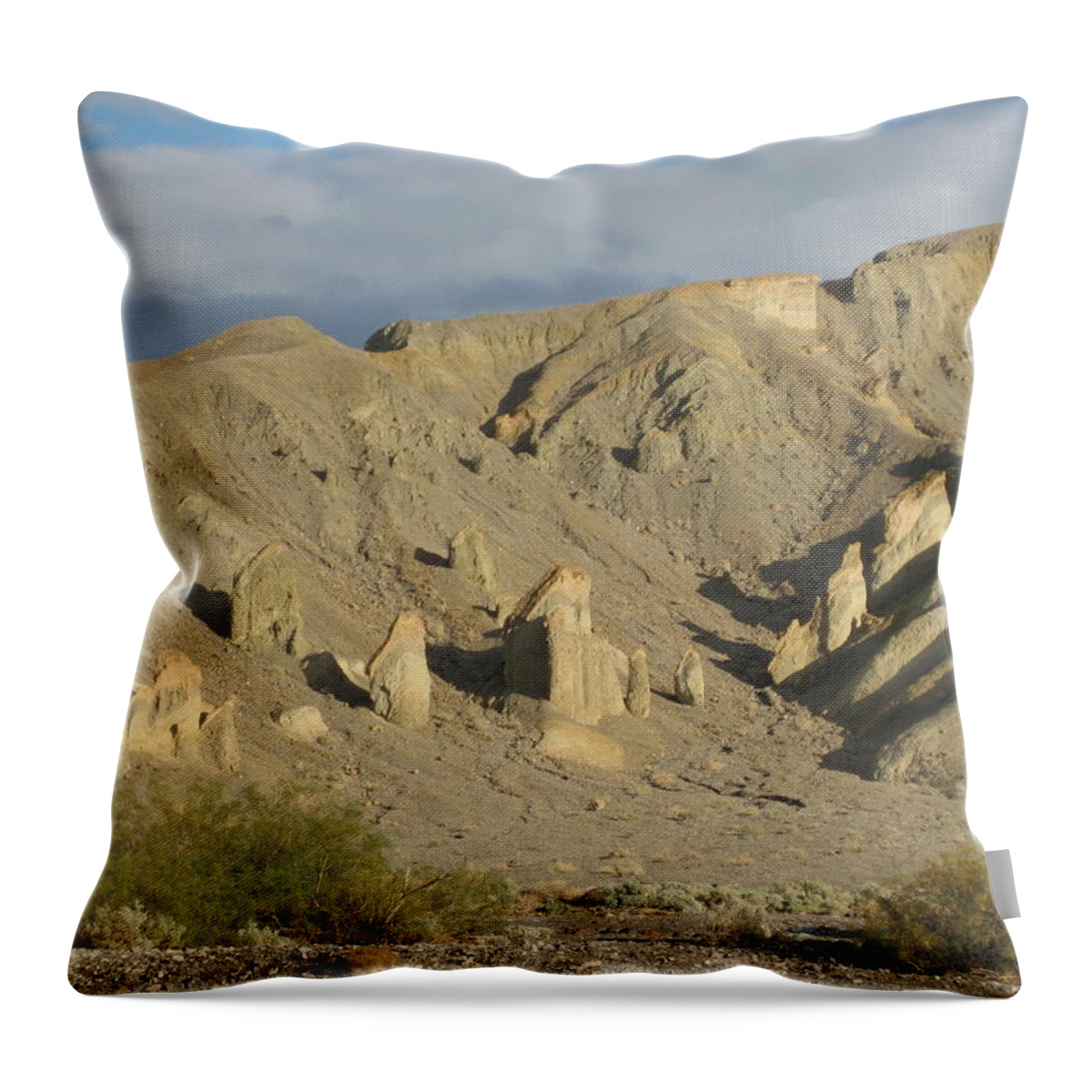 Open Road Framed Prints Throw Pillow featuring the photograph Standing Tall In Death Valley by Robert Margetts