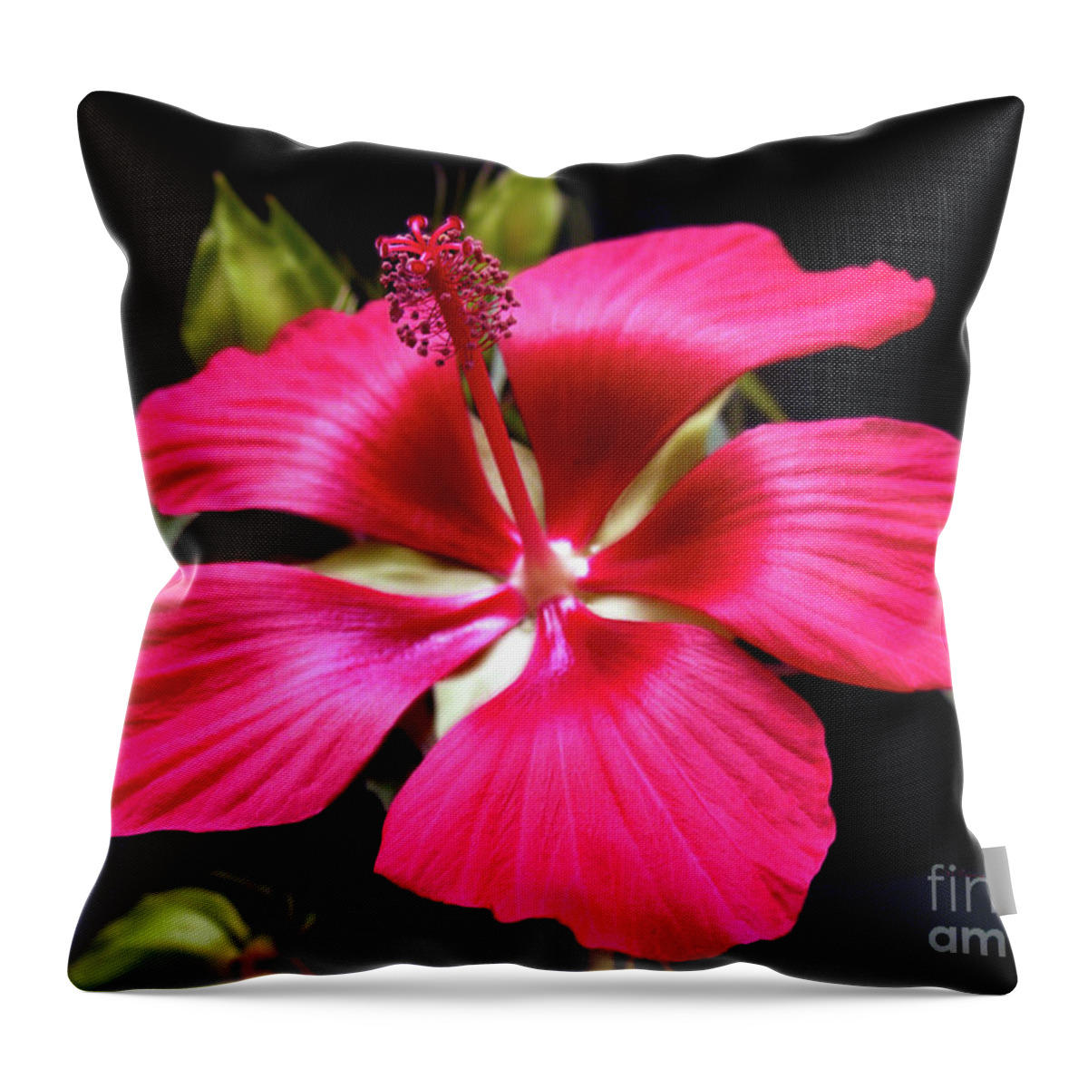 Hibiscus Photography Throw Pillow featuring the photograph Star of Texas II by Patricia Griffin Brett
