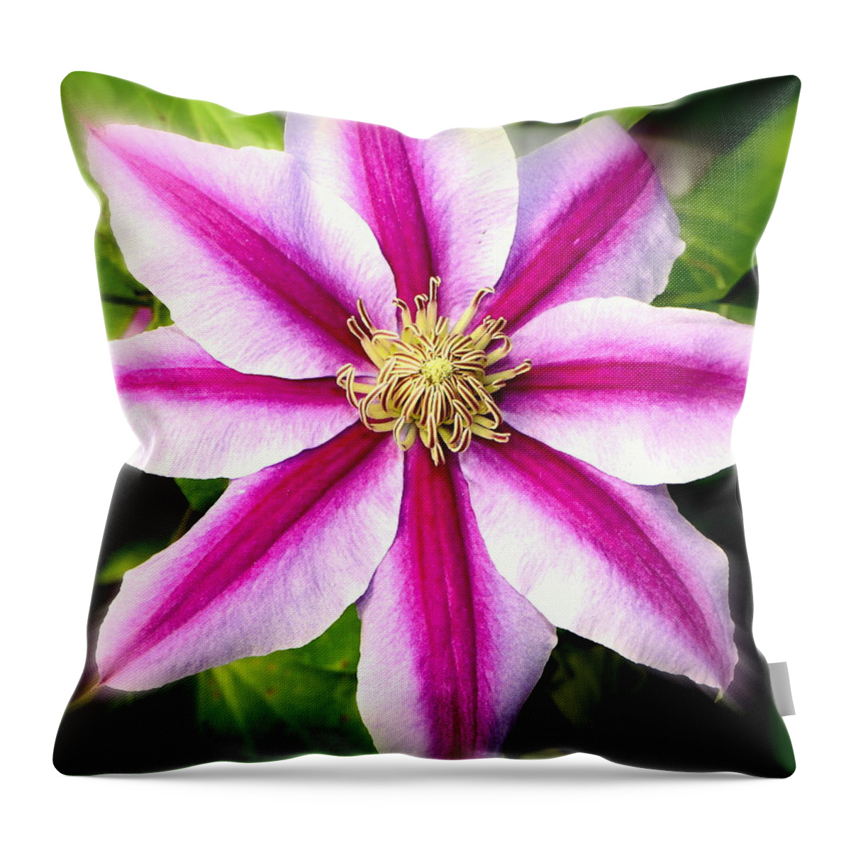 Clematis Throw Pillow featuring the photograph Star Power.... by Tanya Tanski
