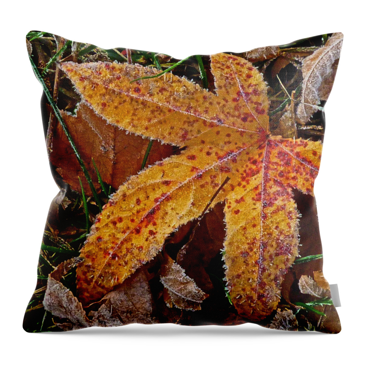 Leaf Throw Pillow featuring the photograph Starfish by William Fields
