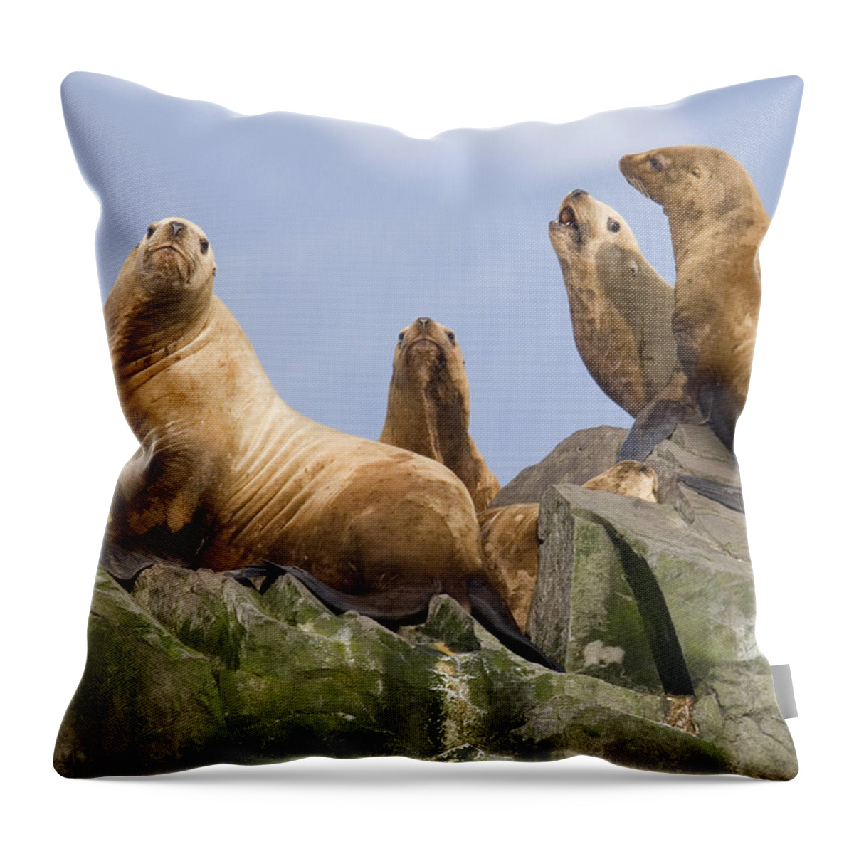 00999028 Throw Pillow featuring the photograph Stellers Sea Lions Sunning by Flip Nicklin