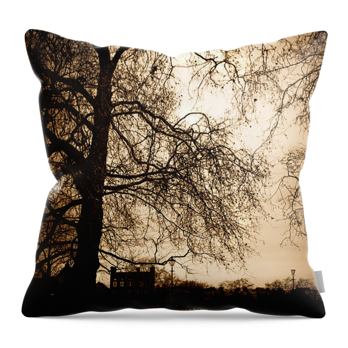 London Throw Pillow featuring the photograph Step up to the little house by Lenny Carter