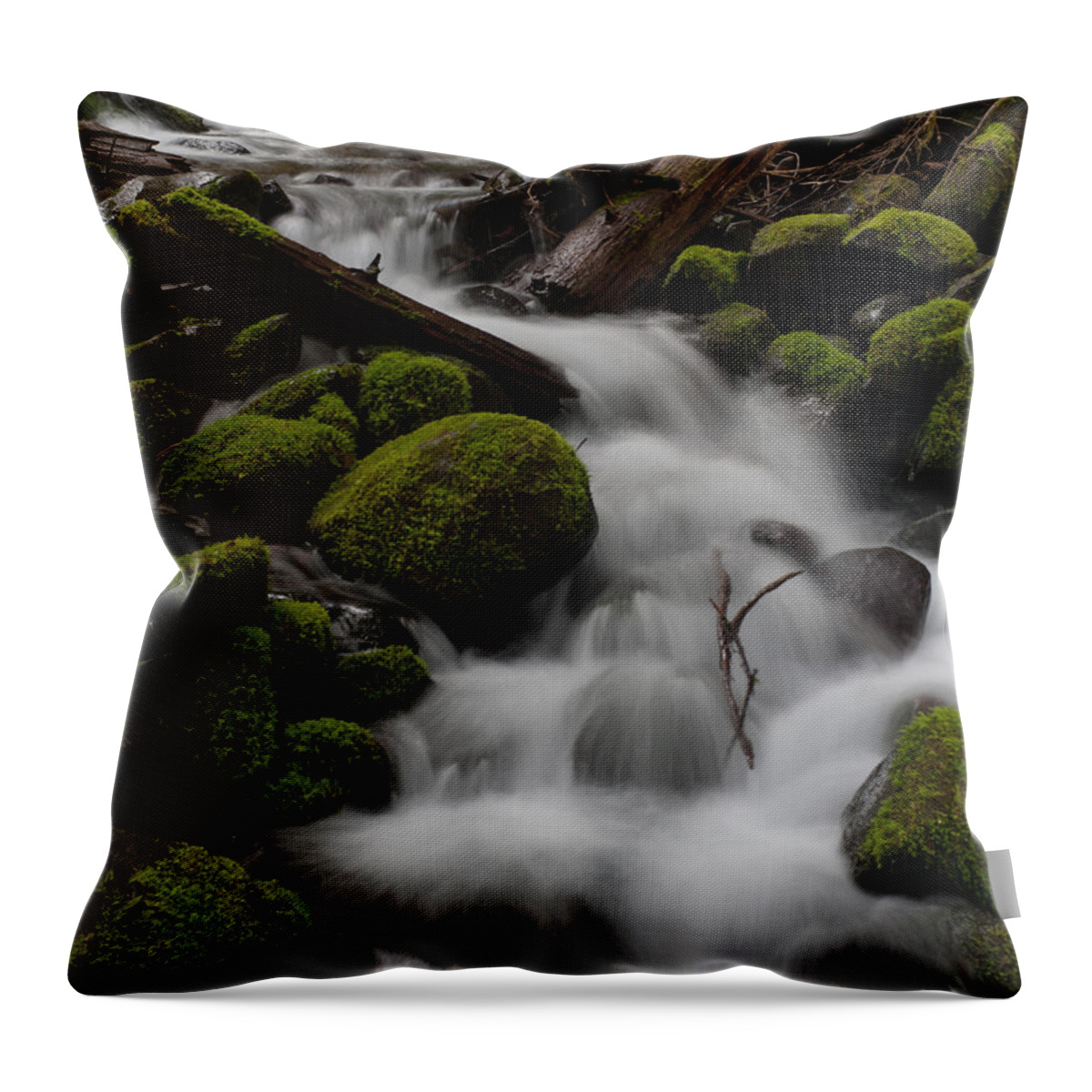 Olympic National Park Throw Pillow featuring the photograph Stepping Stones by Mike Reid