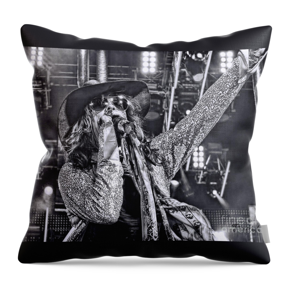 Joe Perry Throw Pillow featuring the photograph Steven T by Traci Cottingham