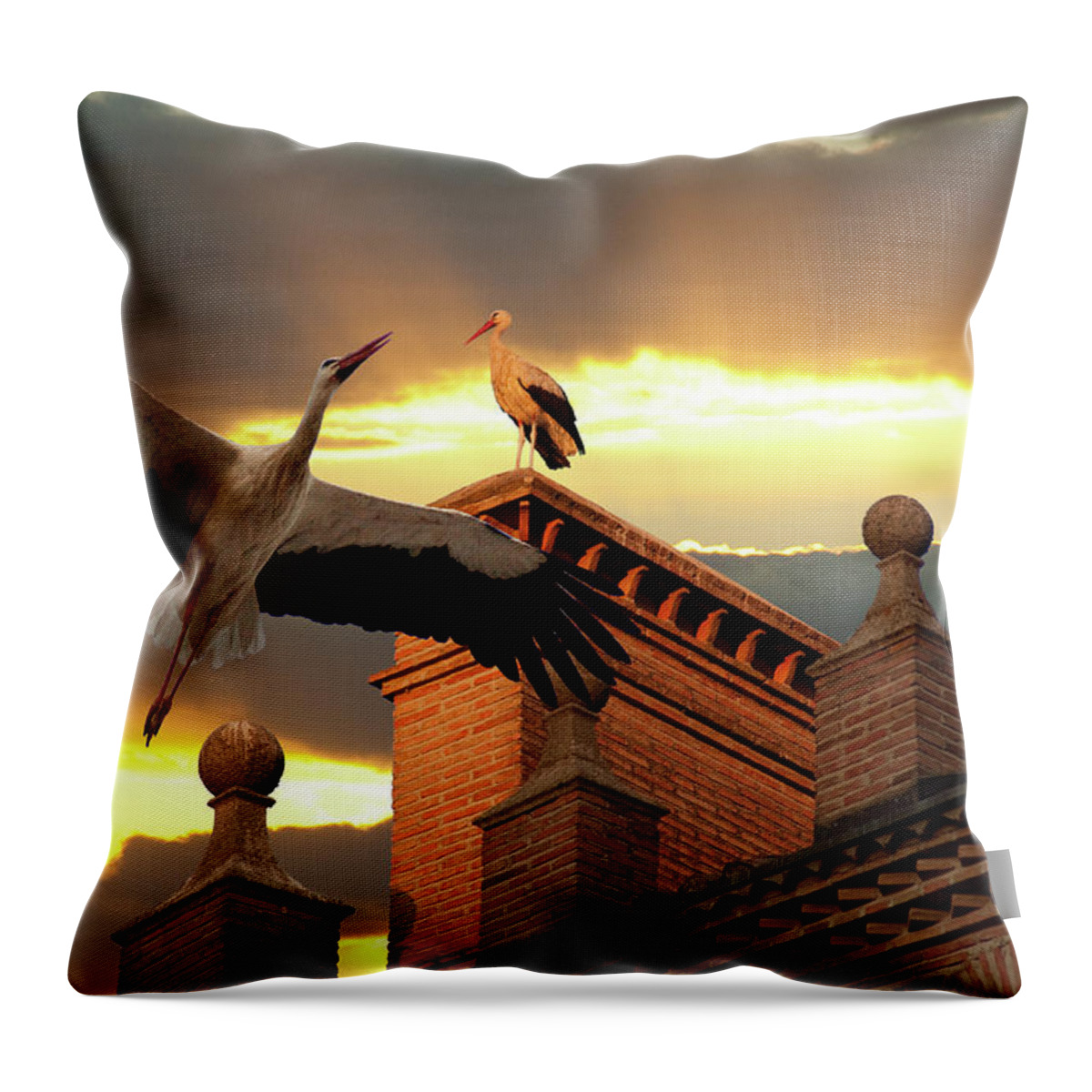Stork Photographs Throw Pillow featuring the photograph Storks at Sunset by Harry Spitz