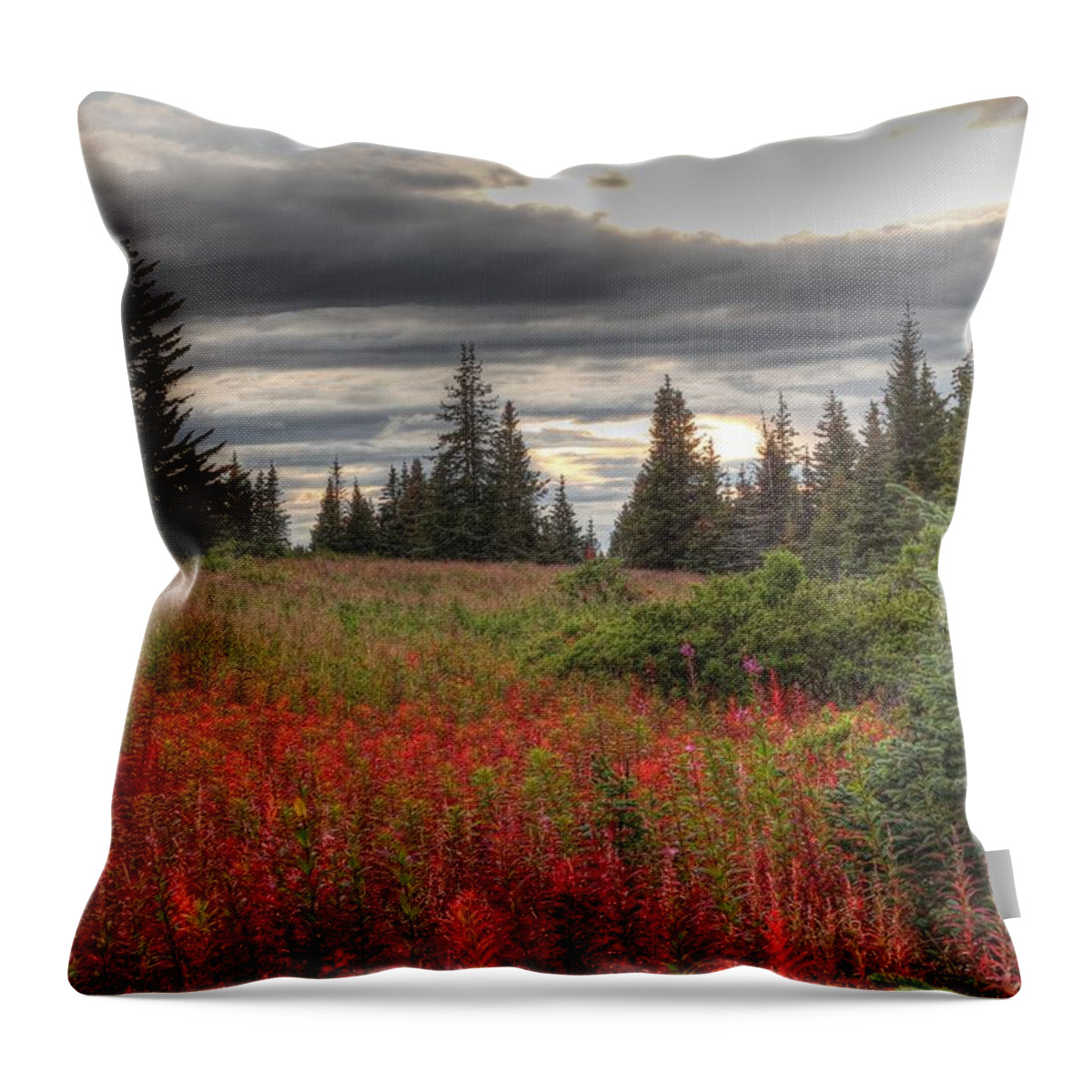 Clouds Throw Pillow featuring the photograph Storm Clouds in Fall by Michele Cornelius