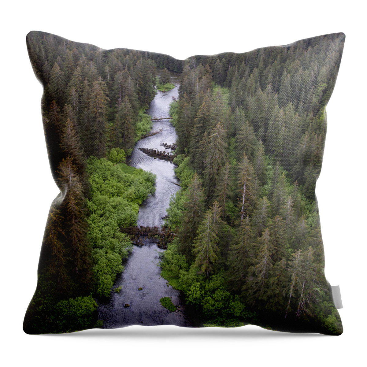Mp Throw Pillow featuring the photograph Stream And Boreal Forest, Tongass by Matthias Breiter