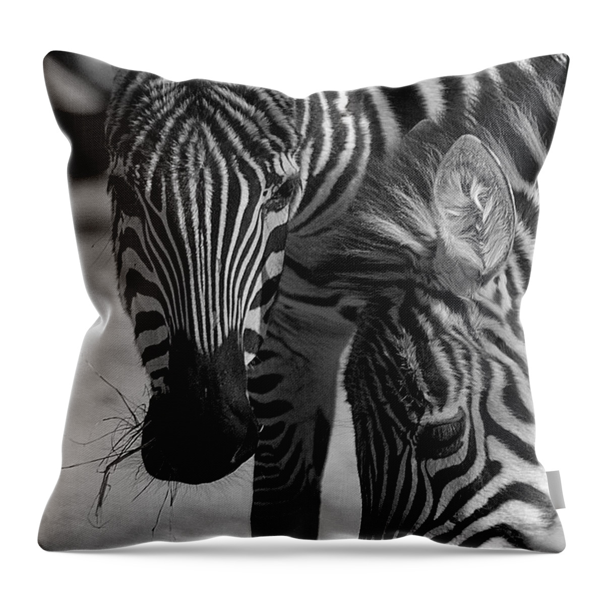 Stripes Throw Pillow featuring the photograph Stripes - Zebra by DArcy Evans