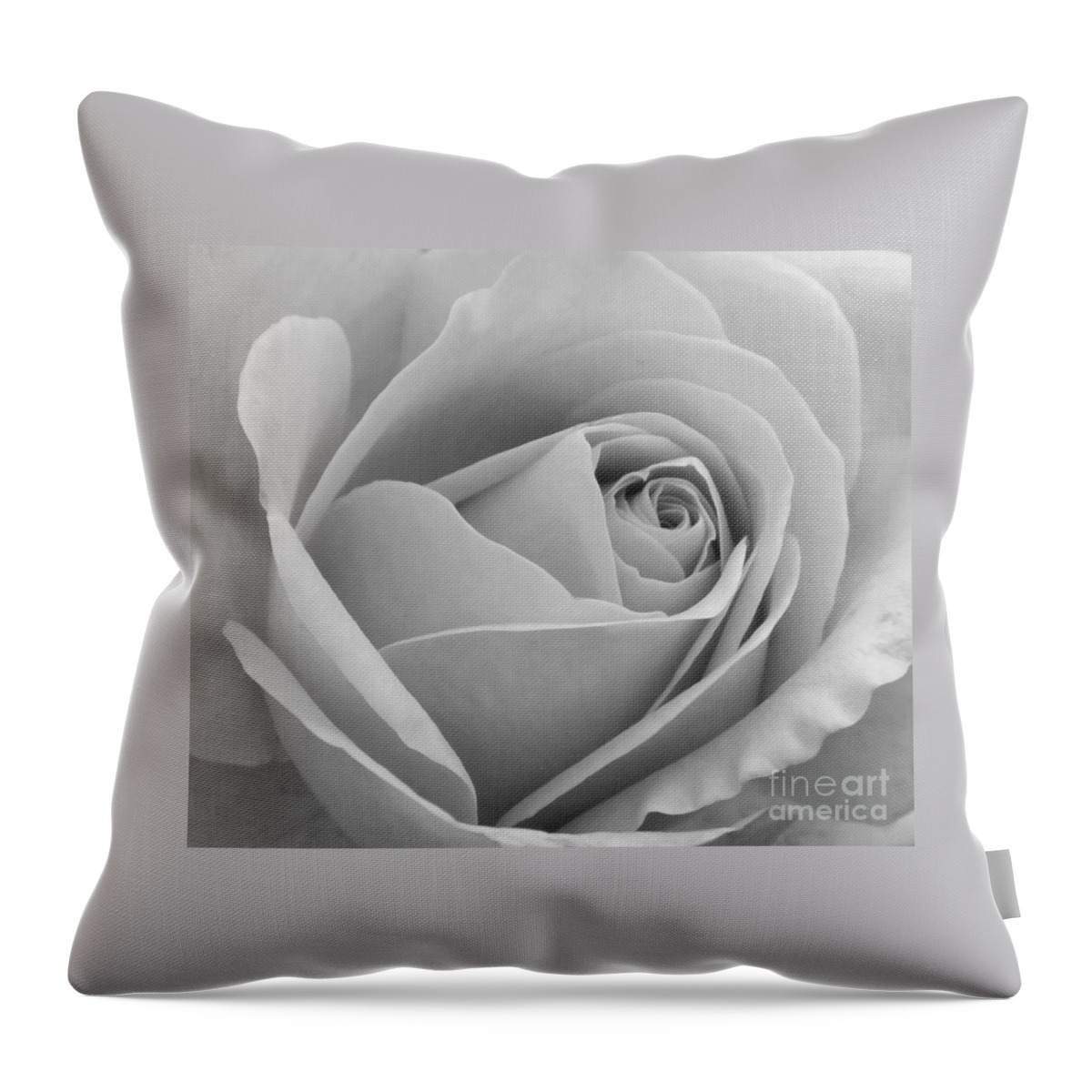 Rose Throw Pillow featuring the photograph Study in black and white by Cindy Manero