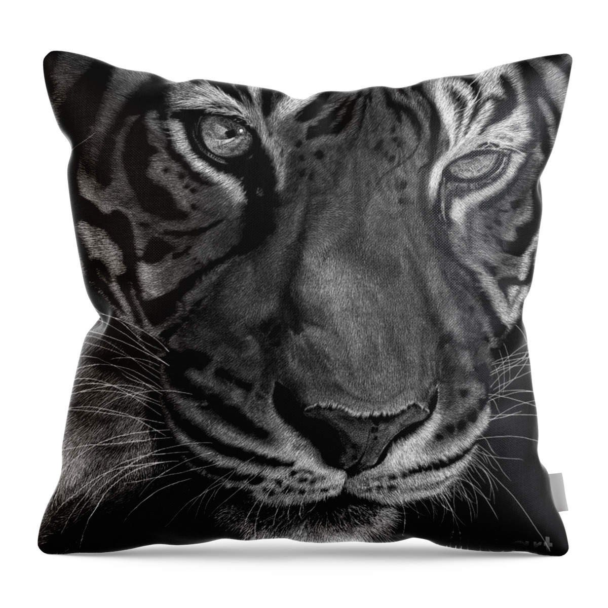 Tiger Throw Pillow featuring the drawing Sumatran Tiger by Sheryl Unwin