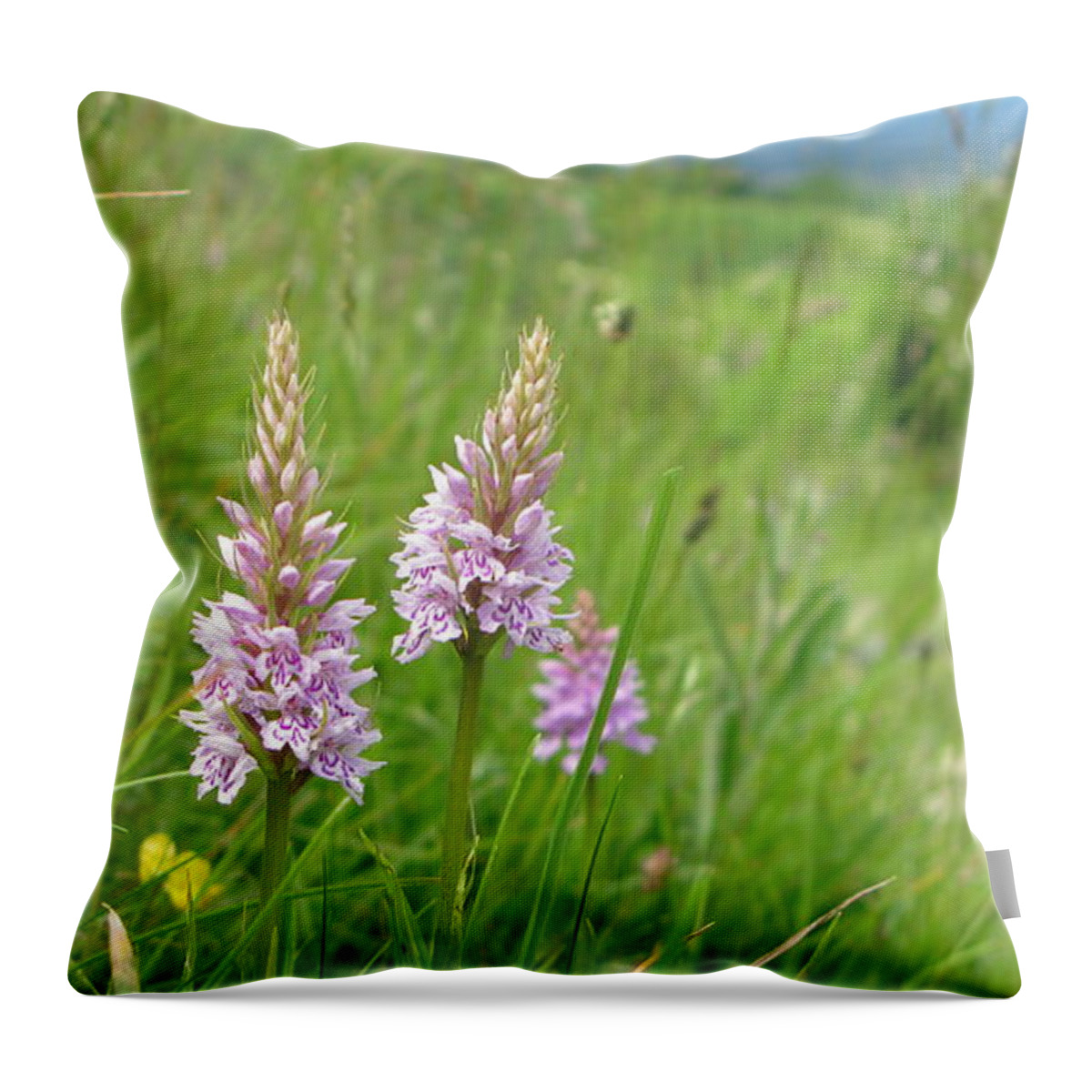 Orchids Throw Pillow featuring the photograph Summer fields by Maria Joy