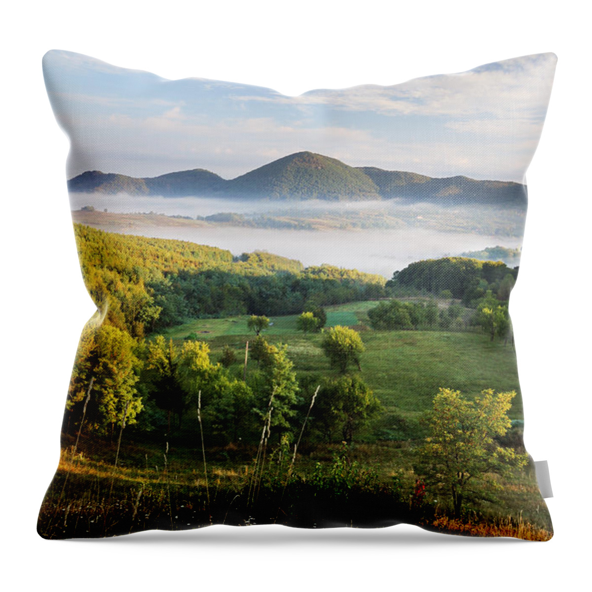 Transylvania Throw Pillow featuring the photograph Summer morning by Mircea Costina Photography