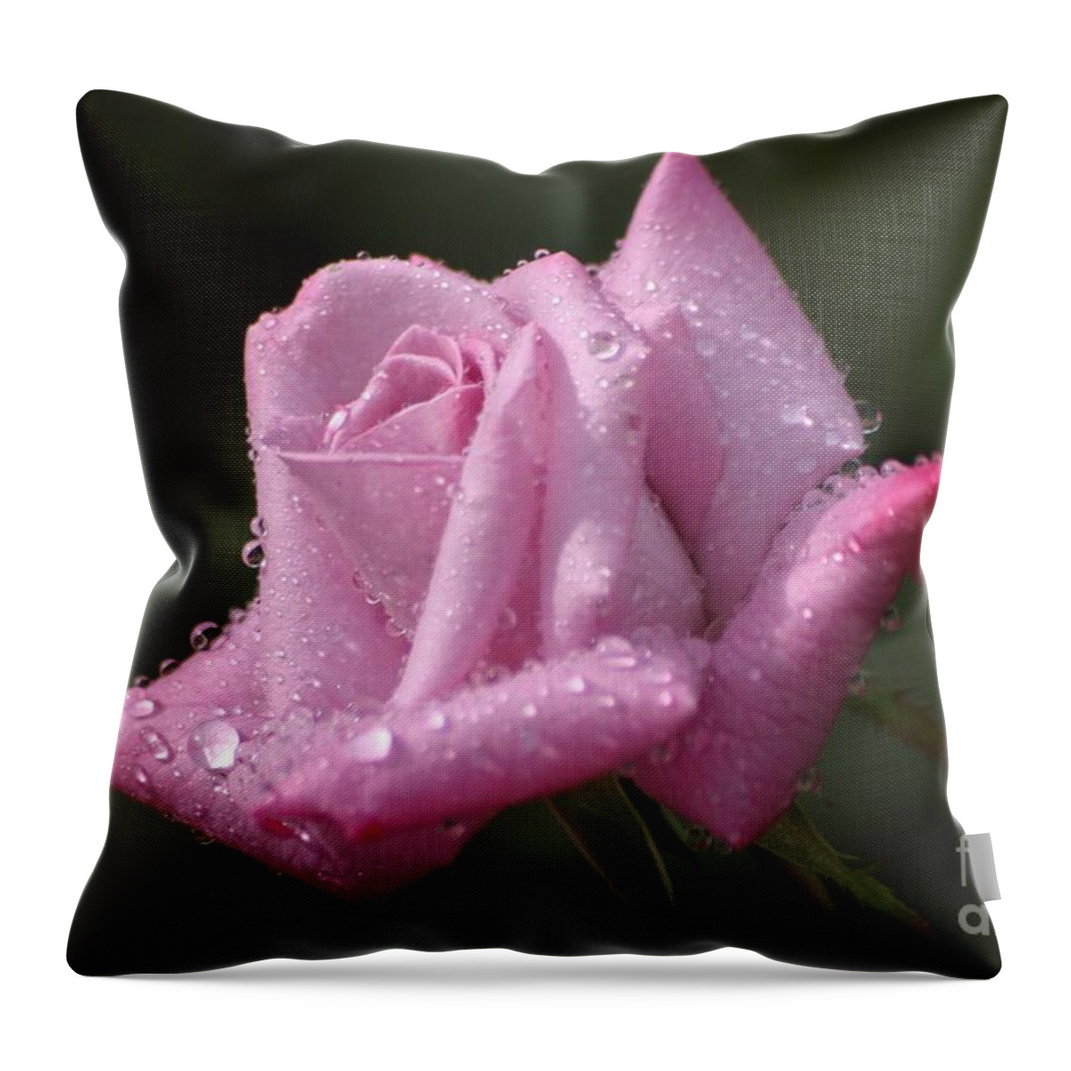 Rose Throw Pillow featuring the photograph Summer Shower by Living Color Photography Lorraine Lynch
