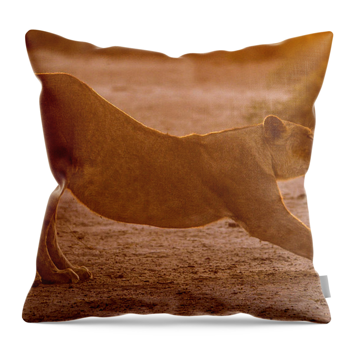 Action Throw Pillow featuring the photograph Sun stretch by Alistair Lyne