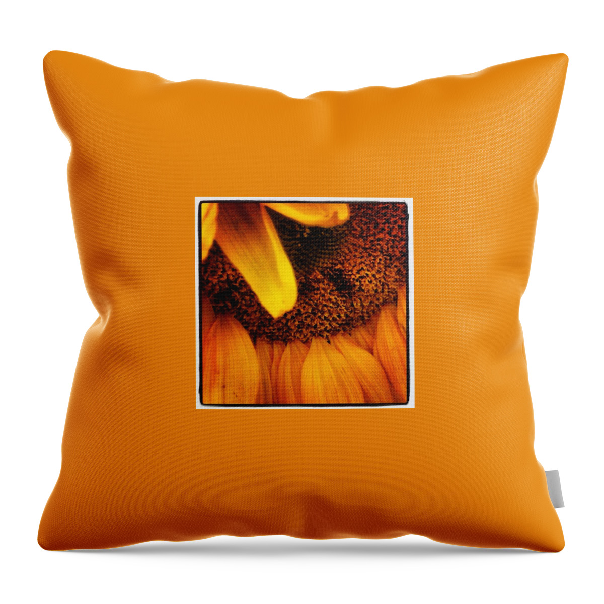  Throw Pillow featuring the photograph Sunflower by Lorelle Phoenix