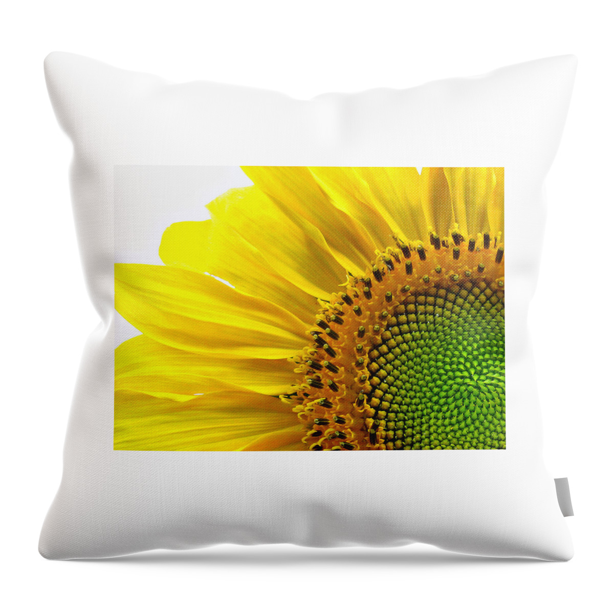 Sunflower Throw Pillow featuring the photograph Sunflower Segments by Bruce Carpenter