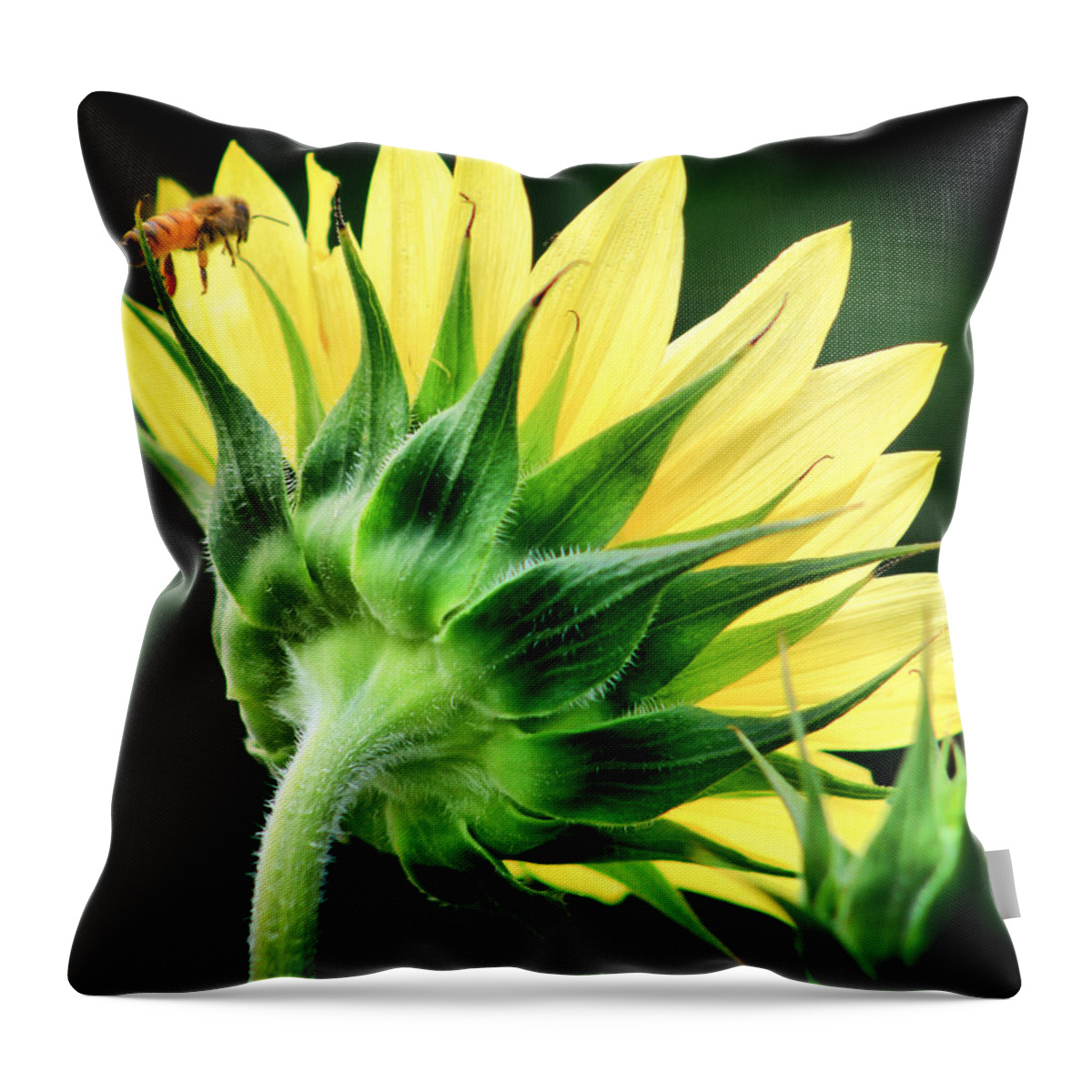 Flower Throw Pillow featuring the photograph Sunflower with Bee by Lynne Jenkins