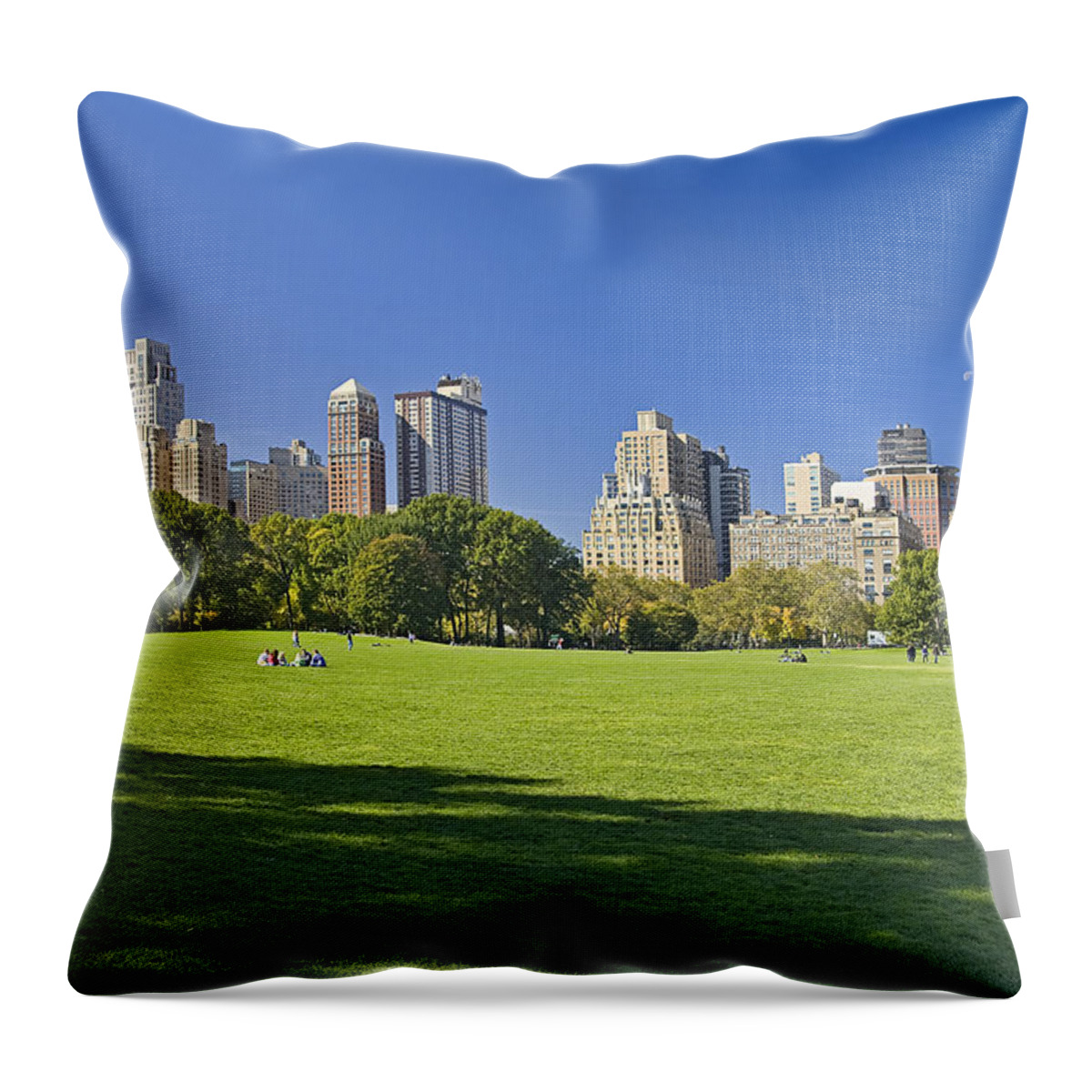 Landscape Throw Pillow featuring the photograph Sunny Central Park by Mark Harrington