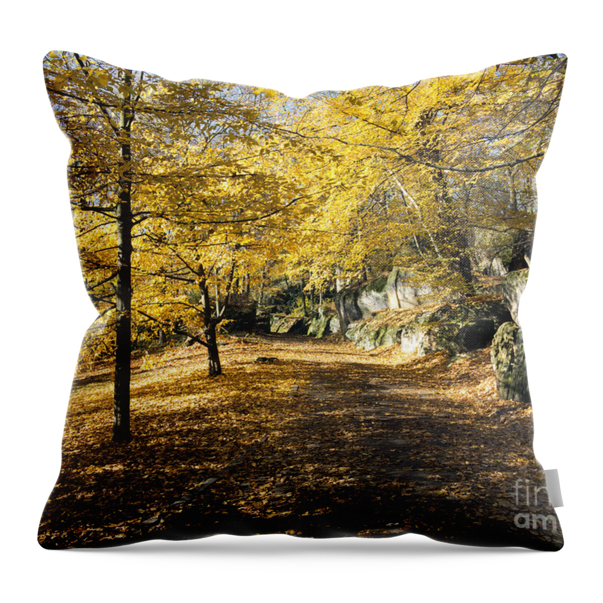 Park Throw Pillow featuring the photograph Sunny Day In The Autumn Park by Michal Boubin